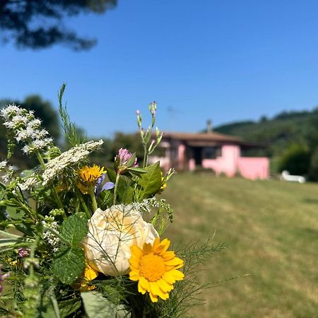 Agriturismo Campolungo Sant'Ermo Exterior foto