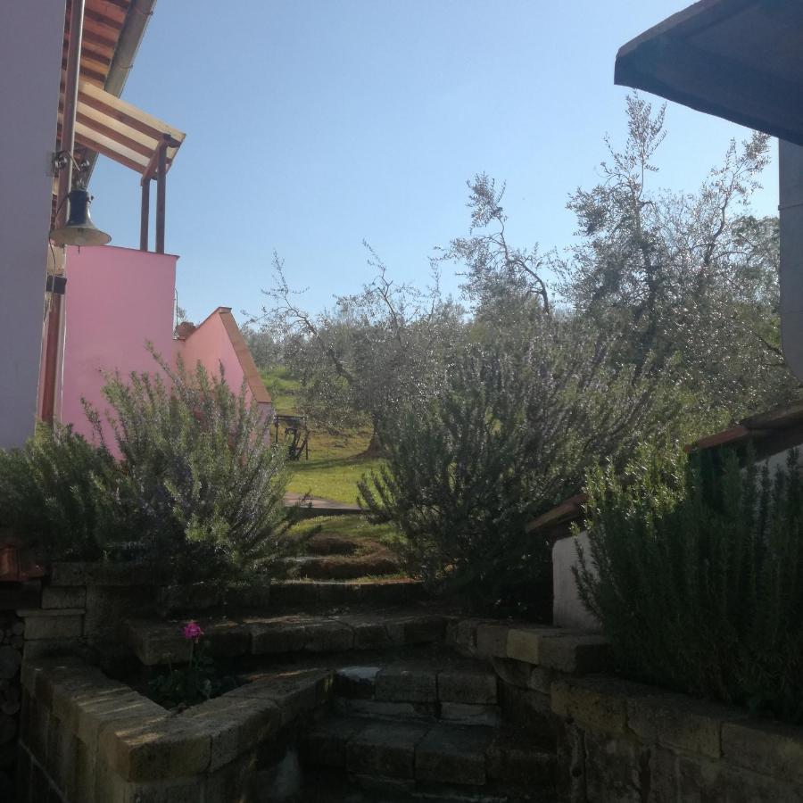 Agriturismo Campolungo Sant'Ermo Exterior foto