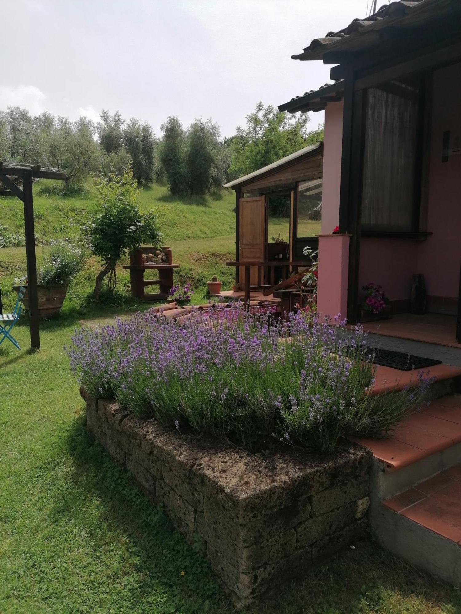 Agriturismo Campolungo Sant'Ermo Exterior foto